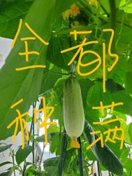 男人和女人上床拔萝卜
